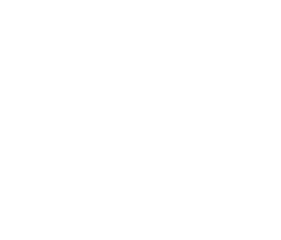 BOSS FITTED
